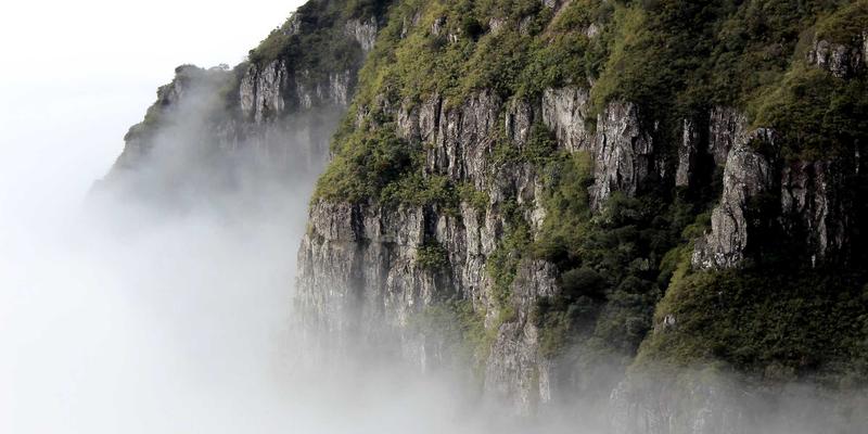 决胜全球市场：保理、福费廷与出口信用保险如何构建企业贸易融资与风险防护网