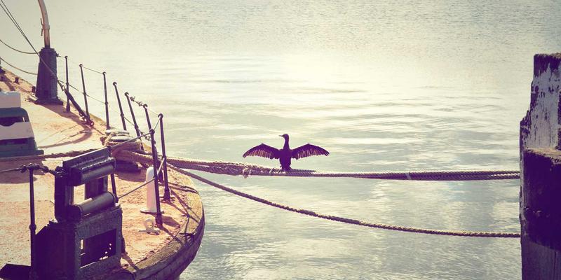 绿色贸易壁垒高筑，中国制造如何破局？聚焦WTO规则与海关清关新挑战