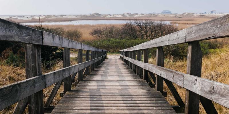 跨越文化鸿沟:国际商务谈判中的跨文化沟通策略与风险规避