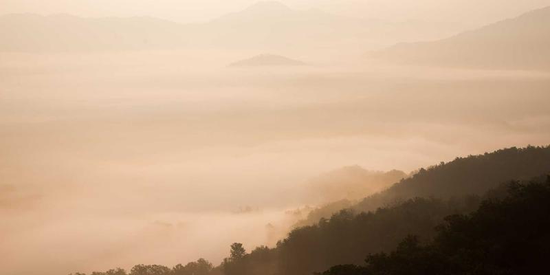 跨越文化鸿沟，驾驭全球贸易：谈判策略与三大实务（贸易融资、海关清关、供应链管理）深度解析