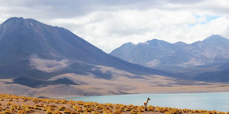 通关加速器：深度解析WTO800认证如何重塑医疗器械出口的物流与清关效率